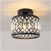 ANWIO Lampada Cristallo Nero, Lampadario Cameretta con 1 Luci, Lampadari Moderni E27, Plafoniera in Cristallo con Paralume in Vetro Per Bagno, Cucina, Camera Piccola, 20.5CM (Senza Lampadine)