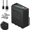 CITYORK 10800mAh NP-F980 Batteria [PD 20W/Tipo-C], Batteria per Sony NP-F980 F970 F975 F960 F930 F770 F750 F730 F570 F550 F530 F330 Tutta la Sony NP-F Series, per Sony Camere, Videocamere, LED Video