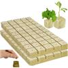 HJYDGJ 100 tappeti coltivati in lana di roccia, cubetti di lana di roccia, coltivazione, talee agricole, foglie di roccia, coltivazione, 25 x 25 x 40 mm