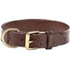 Jack & Russell Collare per Cani in Pelle Premium Peter - Originale in Vera Pelle con Timbro in Rilievo J&R - Collare in Pelle di Bufalo Marrone Peter (M)