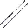 Fastner Compatibile con Mini Coppia Ammortizzatori Molle a Gas Pistoni Pistoncini Anteriori Cofano Motore Cooper/One R50/R52/R53 (2001-2008) 3132706448500 41617066566 51237066566 51237175020