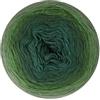 Scheepjes Cotton Whirl 1x1000m - 745 Nebbia e Fogliame