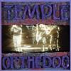INTERSCOPE Temple Of The Dog (2 CD)