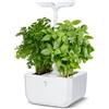 Veritable Genuine Exky CLASSIC Indoor-Garten