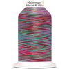 Das höpfende Komma Gütermann Bulky-Lock - Filato per costruzione, n. 80, colore: rosso/verde chiaro, 1000 m