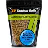 Tandem Baits Carp Food XL Pellet Noci di Tigre | Carpfishing Pesche Pesca Accessori | Alimentatore per la Pesca Carpa | Pesca Accessori alla Carpa 1kg