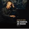 Songs of Hope The Essential Joe Hisaishi Vol. 2 CD Ghibli Kitano Movie OST
