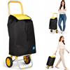 BAKAJI Carrello Poseidon Giallo con Interni Termici Trolley Frigo 35L Ruote 36x30x90cm