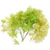 PATIKIL Fiore Di Ortensia Essiccato, 10g Fiori Pressati Naturali Petali Di Ortensia Reali Per DIY Resin Artigianato Carta Floreale Regalo Decorazione Candele, Gradiente Verde Giallo