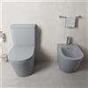 Parama Coppia di sanitari filomuro vaso monoblocco rimless e bidet grigio opaco | Vienna