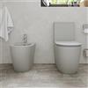 Parama Coppia di sanitari filomuro vaso monoblocco rimless e bidet grigio opaco | Europa