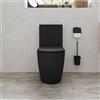 Parama Vaso filomuro monoblocco rimless con cassetta e sedile copri-wc nero opaco | Europa