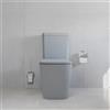 Parama Vaso filomuro monoblocco rimless con cassetta e sedile copri-wc grigio opaco | Londra