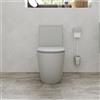 Parama Vaso filomuro monoblocco rimless con cassetta e sedile copri-wc grigio opaco | Europa