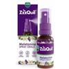 PROCTER & GAMBLE SRL Vicks Zzzquil Natura Spray 30 Ml