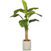 HJH Office Pianta artificiale BANANE I 150 cm Pianta artificiale decorativa, pianta di banano di facile manutenzione, albero artificiale per soggiorno camera da letto ufficio