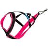 Inlandsis Pettorina Polivalente per Cani Inlandsis Polar Quest X-Back - Leggera, Ergonomica e Resistente - Canicross, Cani-MTB, Passeggiata e Trekking (Cane>15kg)