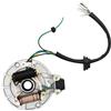 Hoypeyfiy 2 bobine di accensione magneto piastra statore per 50 70 90 110 125cc Taotao Kazuma SSR Baja ATV Quad Dirt Kick Bike 4 ruote kick start Pit Dirt Bike ATV Go Kart Quad Scooter Buggy