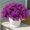 SOMYTING 4 Mazzi di Fiori Artificiali Come Veri Fiori Artificiali Bouganville Artificiali Piante da Balcone Resistenti alle Intemperie Fiori in Seta (Violet)