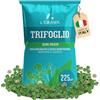 LERAVA® Trifoglio Nano semi prato [Non Richiede Taglio] - 225m² - Semi trifoglio nano per prato - Fissa l'azoto e Migliora la fertilità del suolo - Trifoglio semi con fioritura bianca - 900g