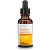 Krauterhaus Sanct Bernhard - Olio Viso alla Carota per la Cura della Pelle (30 ml)
