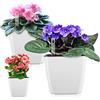 GS Garden Fioriere autoinnaffianti per piante da appartamento: 12,7 cm, confezione da 3 vasi per fiori ed erbe aromatiche, colore: bianco viola africano
