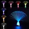 BNOYONERAS Lampada in Fibra, Ice Crystal Lampada in Fibra Ottica, Lamp Cambio di Colore, The Glowhouse Ice Crystal lamp in Fibras Ottica con Variazione del Colore, 1 PCS (Stile 2)