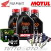 Motul - Hiflo - NGK Tagliando HONDA CBR 600 RR 2007 2008 / Kit Olio Motul 7100 Filtro Candele CBR600