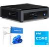 Intel ASUS NUC Mini PC, Windows 11 Pro, Office 2019, 8GB RAM 512GB NVME SSD, WIFI 6, HDMI, USB C, incl. Kit di fissaggio VESA