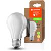 LEDVANCE Lampada a Risparmio Energetico, Lampadina Smerigliata, E27, Bianco Caldo, 3000K, 7,2 Watt, Sostituisce La Lampadina da 100W, Efficiente E a Risparmio Energetico, Confezione da 1