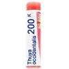 Boiron Thuya Occidentalis 200 K Globuli 1 g Monodose