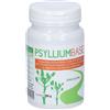 Psyllium Base Polvere 200 g per soluzione orale