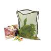 Kit castagne basic