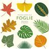 Piccola guida alle foglie