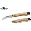 Coltello funghi Antonini Old Bear olivo