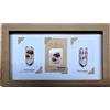 Set stemmi fungaiolo