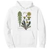 Dandelion Botanical Flowers Dente di leone Botanico Vintage Wildflower Primavera Desideri Fiore Felpa con Cappuccio