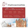 Hahnemühle 10628983 - Blocco di acquerelli, calligrafia, certificati e cartoline, 300 g, 12 fogli
