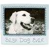 MARIPOSA Best Dog Ever - Cornice in Argento, 10 x 15 cm