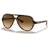 Ray-Ban Cats 5000 Classic RB 4125 (710/51)