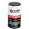 Enersys - Batteria Cyclon Enersys 0810-0004 (D cell) 2V 2.5Ah F4.8