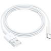 AHDFWI Cavo Apple Carplay per iPhone 15, cavo da USB A a USB C per iPhone 15, 15 Pro Max, 15 Plus, iPad Pro 12.9/11, iPad 10a generazione, iPad Air 5a/4a generazione, mini 6a generazione (bianco)