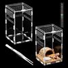 QingWing Terrario per Rettili Acrilico, 20x12x12cm Terrarium Acrilico con Termometro e Pinzette, Custodia Traspirante per L'allevamento di Rettili, Custodia in Plastica per Scorpioni, Millepiedi