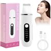 HASAIKA® Pulizia Viso Ultrasuoni, Skin Scrubber con 4 modalità, Pulizia profonda per rimuovere i punti neri, adatto a uomini e donne (Bianco)