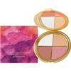 PCC PTYXIS Palette Per Guance E Eyeshadow Palette - Palette Per Viso 4-In-1 Con Ombretti, Evidenziatore E Blush, Kit Contorno Per Palette Per Trucco Multiuso, Compatto Portatile (Quattro in uno, 8.8g)