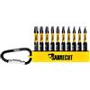 SabreCut 10 x SabreCut SCRK003 50mm Torx T7 T8 T9 T10 T15 T20 T25 T27 T30 T40 Set di punte per cacciavite a impatto magnetico con moschettone, custodia per riporre punte a estremità singola