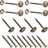 INCREWAY Viti decorative in ottone per specchi, 8 pezzi, con cupola e rondelle (13 mm)