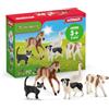 SCHLEICH FARM WORLD | Animali della Fattoria Bundle 42386 | Set con vitello, puledro, gatto, cane e oca | figure realistiche per bambini dai 3 anni | 5 pezzi | solo su Amazon