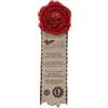 Starforged Sigilli di Purezza Adepta Sororitas Cavalieri Grigi Ultramarines Spilla Pendente Warhammer 40K, 144mm*40mm, Pelle, Non pietra preziosa