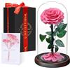 Touloube Festa della Mamma Rosa Stabilizzata Vera Regalo Donna in Cupola Vetro - Regalo di San Valentino, Donna Regalo Compleanno, Rosa Eterna Idee Regalo Mamma Moglie Fidanzata Nonna, per Anniversario